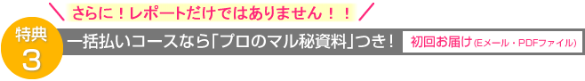 一括払いコースなら「プロのマル秘資料」つき！